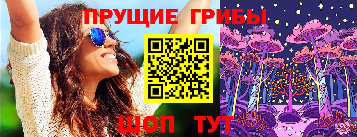 Псилоцибиновые грибы мухоморы  Вход с VPN  закладка  Хасавюрт  Галлюциногенные грибы Psilocybe 